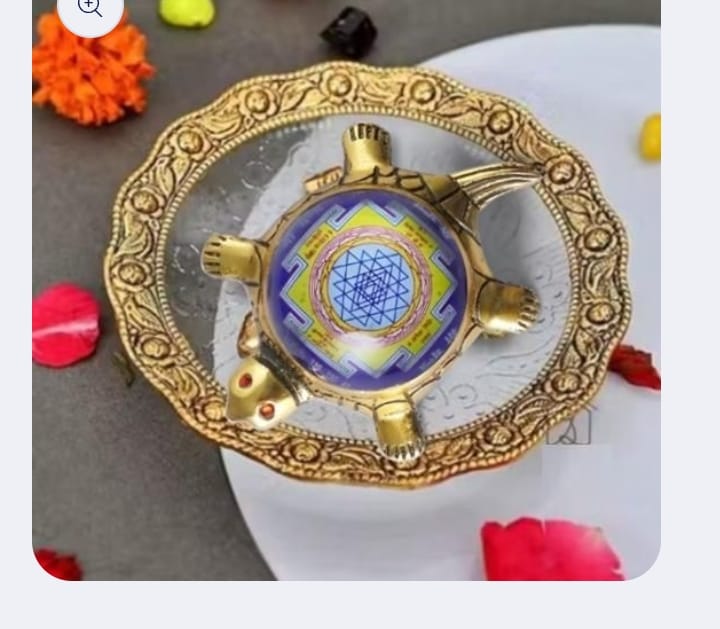 Dhan Laxmi Tortoise (Only Kachua) for Good Luck