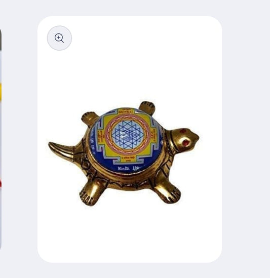 Dhan Laxmi Tortoise (Only Kachua) for Good Luck