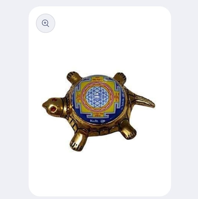 Dhan Laxmi Tortoise (Only Kachua) for Good Luck