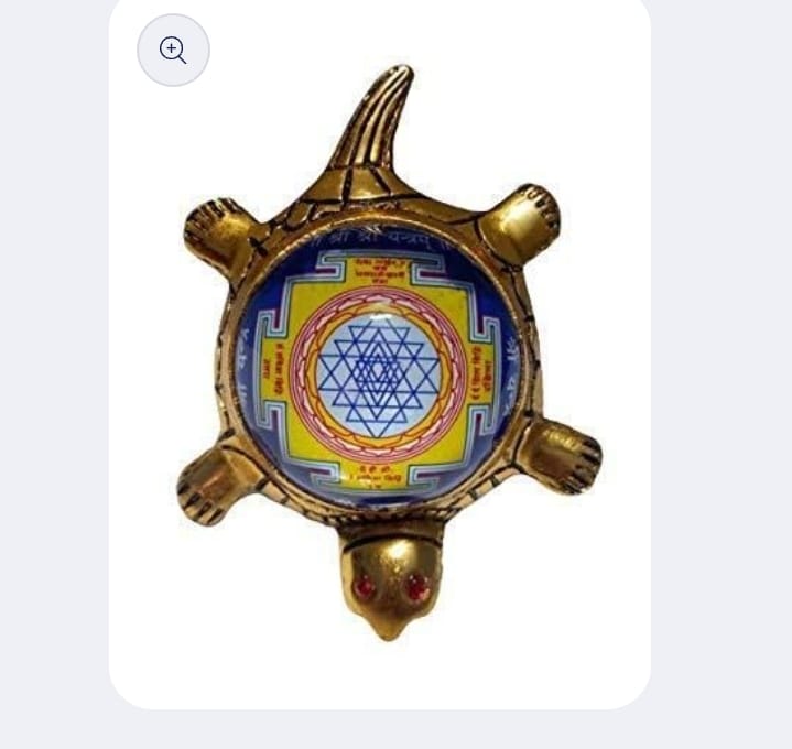 Dhan Laxmi Tortoise (Only Kachua) for Good Luck